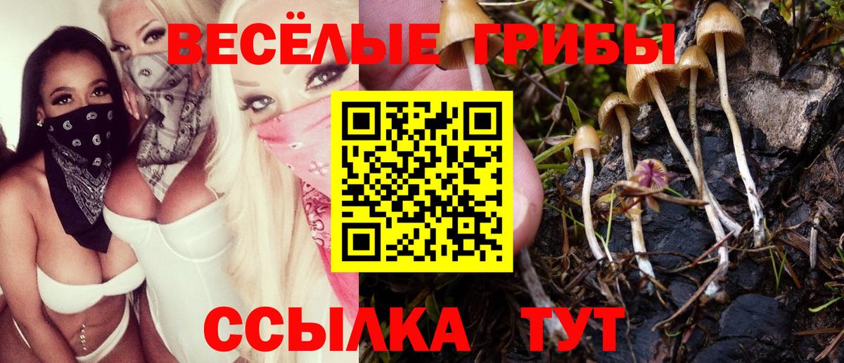Галлюциногенные грибы GOLDEN TEACHER Приморско-Ахтарск